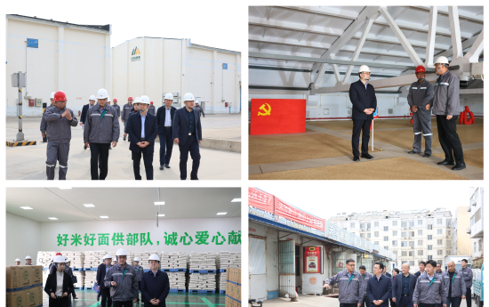 財(cái)金要聞│財(cái)金集團(tuán)黨委書(shū)記、董事長(zhǎng)安吉斌調(diào)研重點(diǎn)項(xiàng)目建設(shè)情況